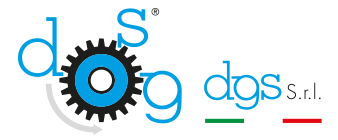 DGS srl